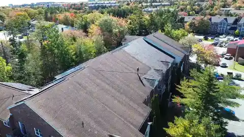 Aerial view of a shingle roof